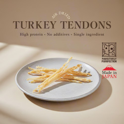 Turkey Tendon Jerky Air-Dried