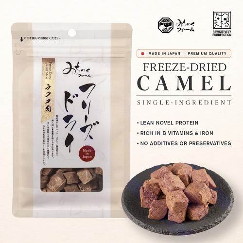 Camel Freeze-Dried