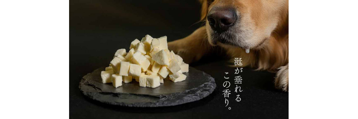 cheese