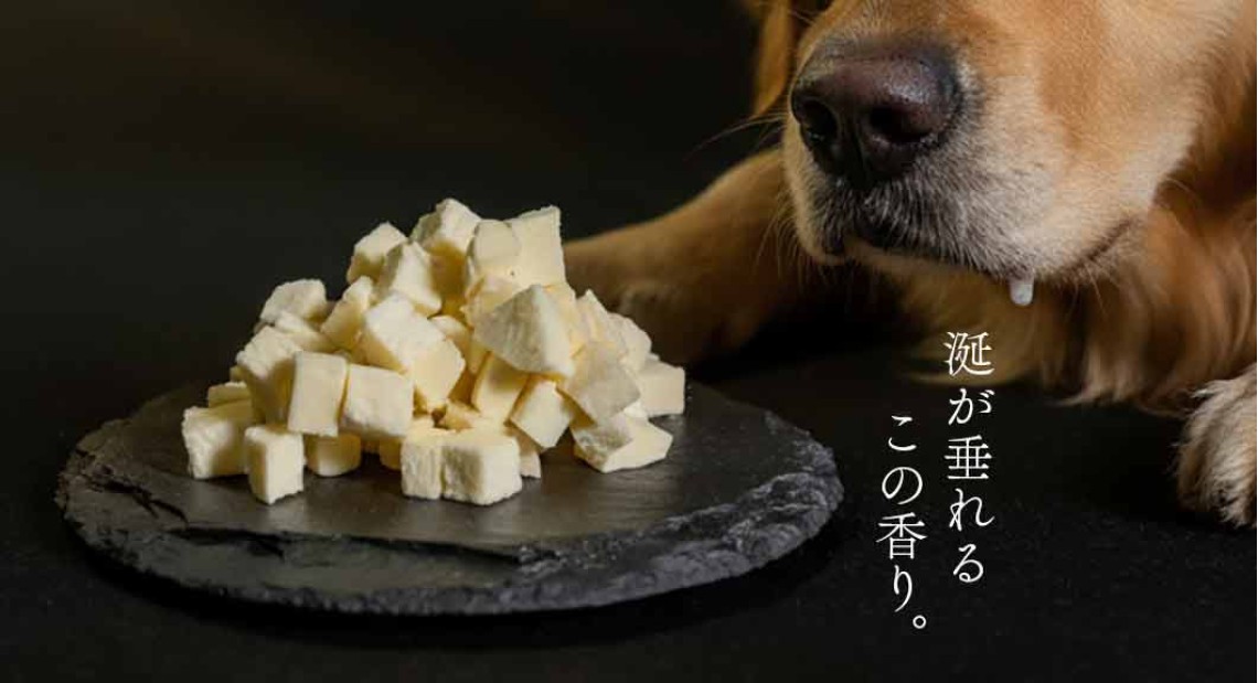 cheese